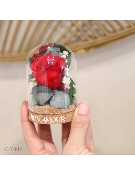 Valentine's Day gift