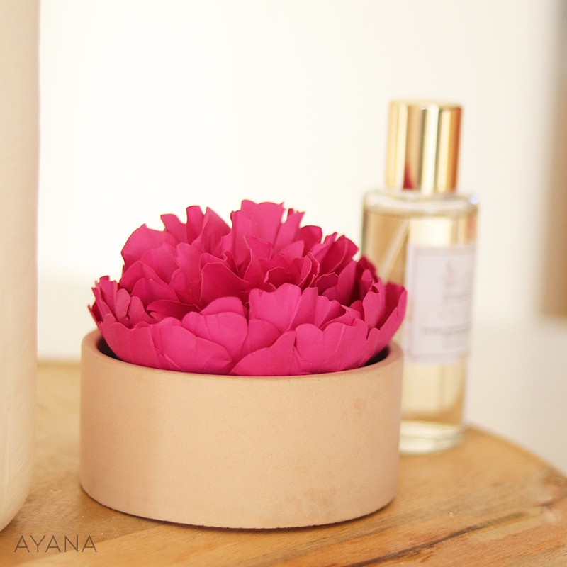 Coffret cadeau fete des meres pivoine papier et parfum ambiance