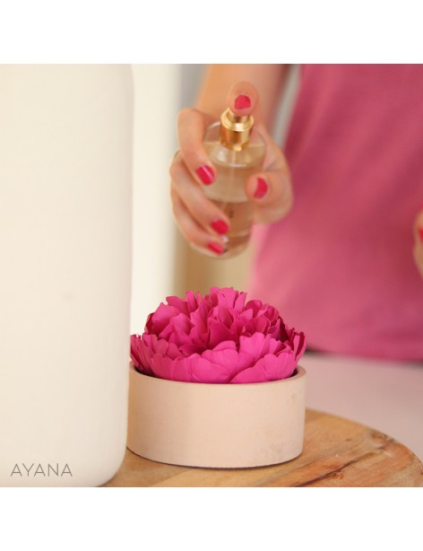 Coffret cadeau fete des meres pivoine papier et parfum ambiance