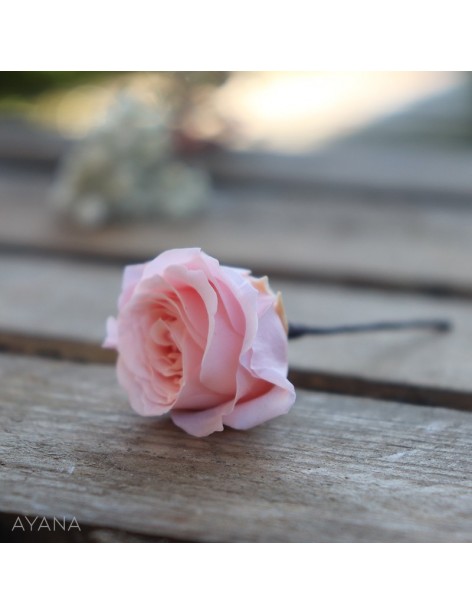 Pic-mini-rose-en-fleurs-eternelles