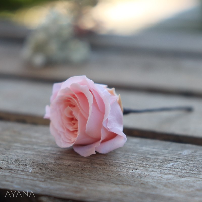 Pic-mini-rose-en-fleurs-eternelles