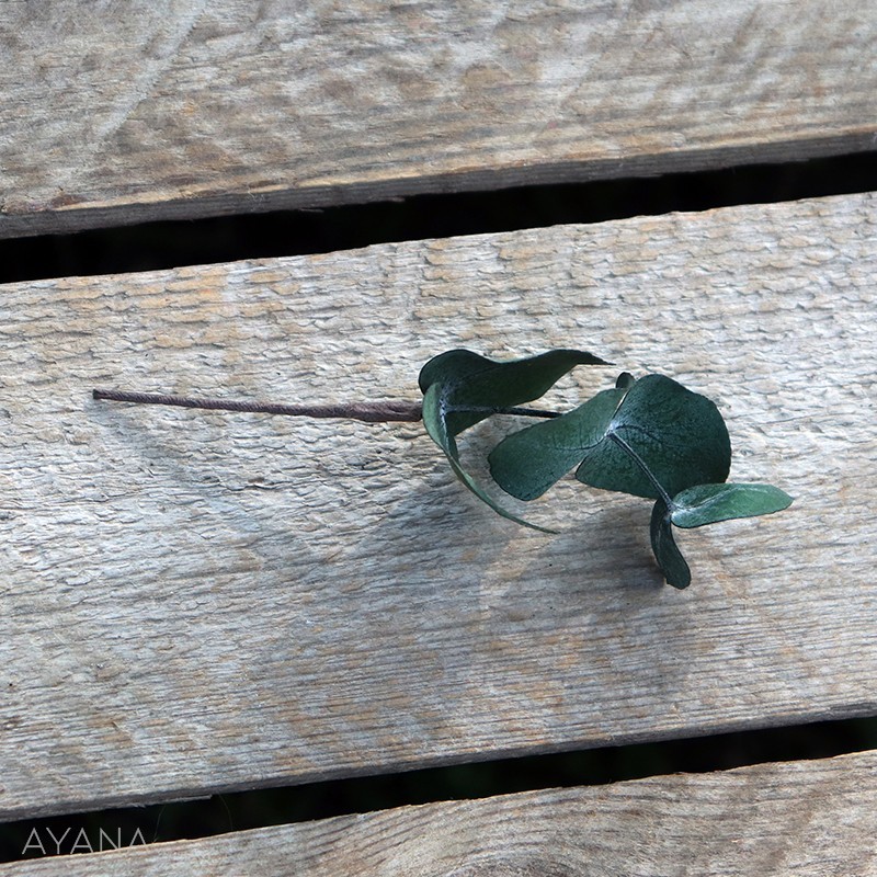 Pic-eucalyptus-de-fleurs-stabilisees