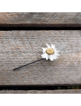 Pic-rodanthe-en-fleurs-eternelles