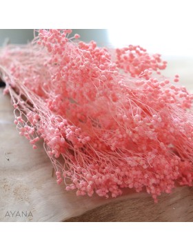Botte broom couleur rose