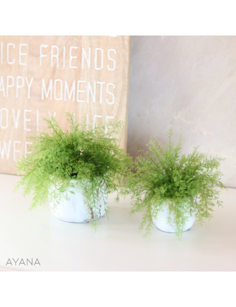 Green Addict Sertularia
