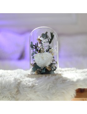 Cloche fleurs stabilisees JARDIN IMPERIAL