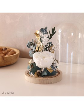 Cloche fleurs sechees JARDIN IMPERIAL
