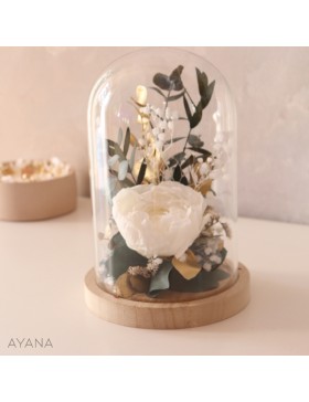 Cloche en fleurs eternelles JARDIN IMPERIAL