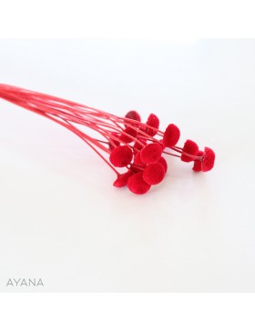 Botte botao seche ROUGE
