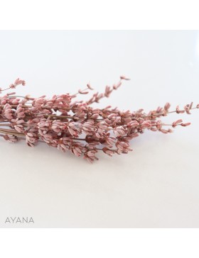 Botte lavande sechee ROSE