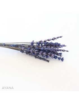 Botte lavande sechee BLEUE