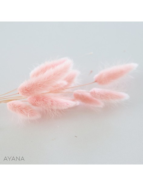Botte de lagurus seche ROSE PASTEL
