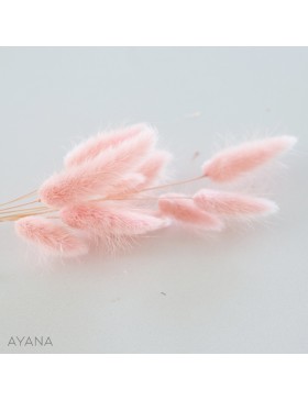 Botte de lagurus seche ROSE PASTEL