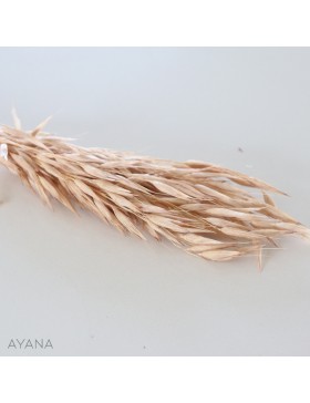 Botte avoine seche