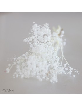 Botte de gypsophile stabilise