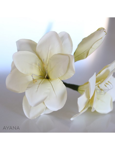 Amaryllis paper flower